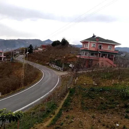 Guerbulakta Kiralik 트라존